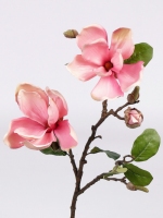 Magnolia tak x2 bloem, 6knp 72cm roze